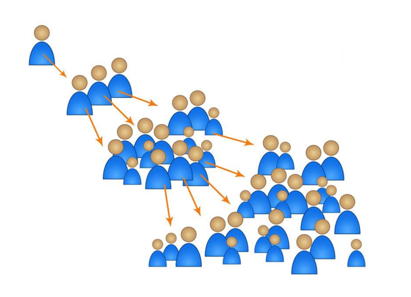 Age and Gender Diagrams